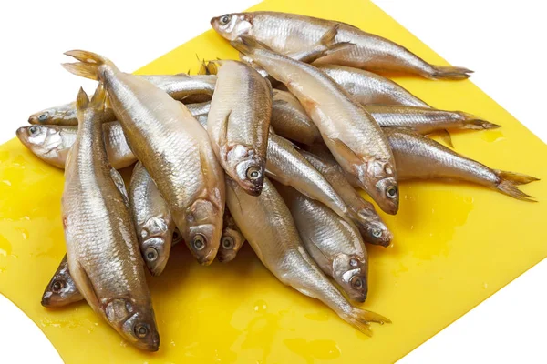 Stickleback 물고기의 힙 — 스톡 사진