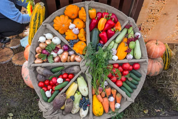 Vida tranquila com legumes e frutas — Fotografia de Stock