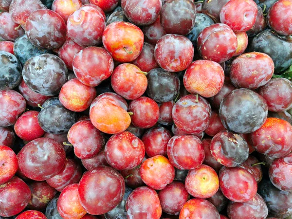Background of ripe plums — Stock Photo, Image