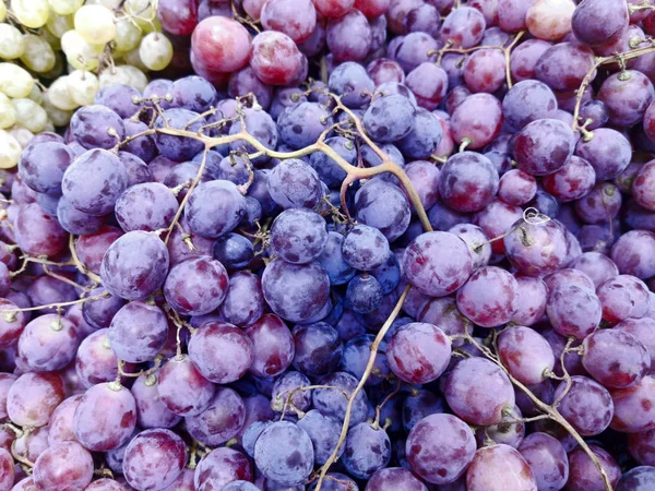 Contexto das uvas azuis — Fotografia de Stock