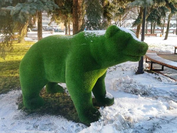 Figura de urso Topiary — Fotografia de Stock