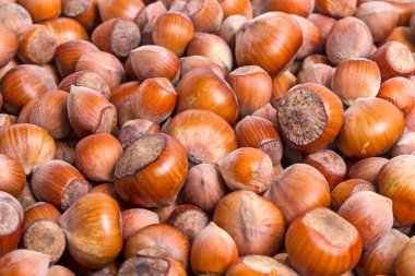 Olgun fındık yığını, doğal arka plan.