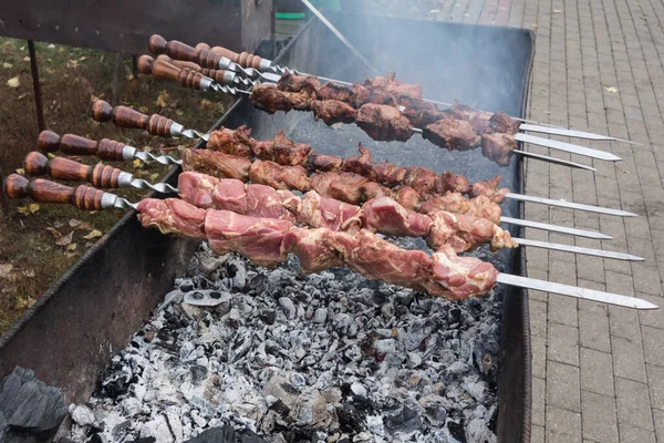 Barbecue Cuisson Shish Kebab Sur Les Charbons Chauds — Photo