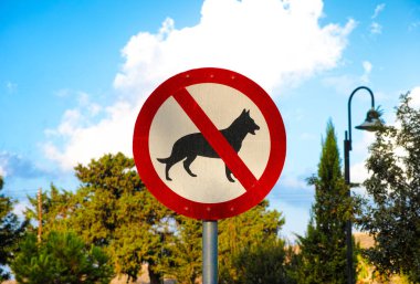 köpek iz yok
