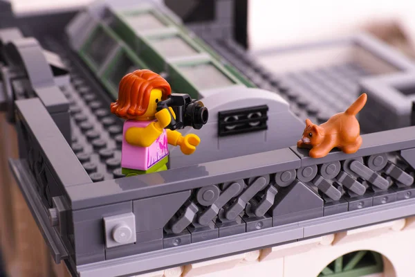 Lego girl with camera take photo of the cat — Stock Photo, Image