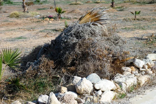 Gran pila de hierba seca, corteza y hojas de palma — Foto de Stock