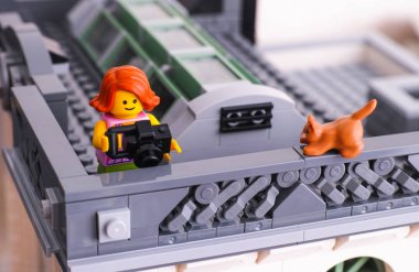 Çatı--dan fotoğraf makinesi alarak fotoğraf Lego kız. Kırmızı kedi oturan