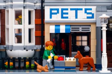 Lego adam dış evcil hayvan dükkanı köpek ve kedi ile ayakta kemik ile