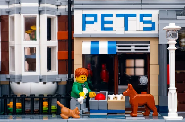 Лего-человек с костями стоит возле зоомагазина с собакой и кошкой — стоковое фото
