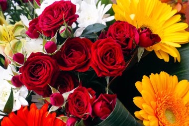 Koyu kırmızı gül, krizantem ve gerbera buketi