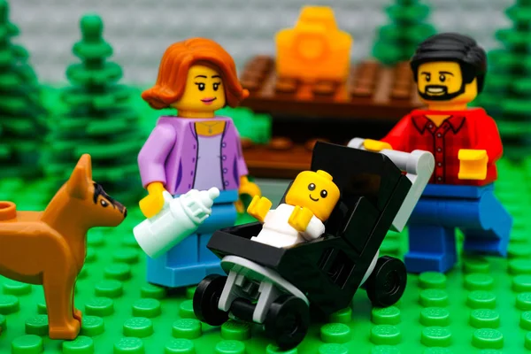 LEGO-Familie picknickt mit Hund im Park — Stockfoto