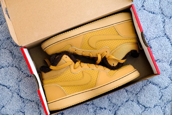 Yeni Nike court borough kış spor ayakkabı kutusunda Orta.