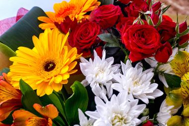 Kırmızı güller, beyaz kasımpatı ve gerbe güzel buket