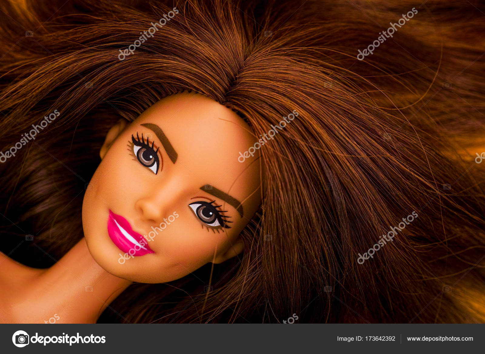 Barbie Brown Hair
