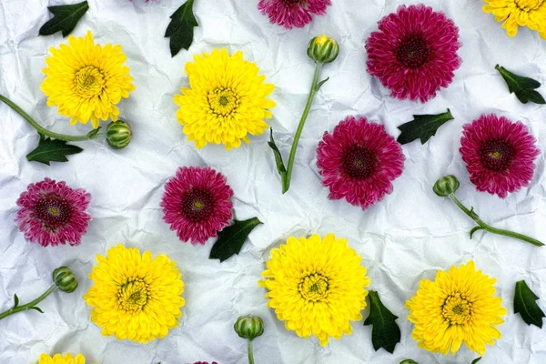 勃艮第和黄菊花的花卉图案 — 图库照片