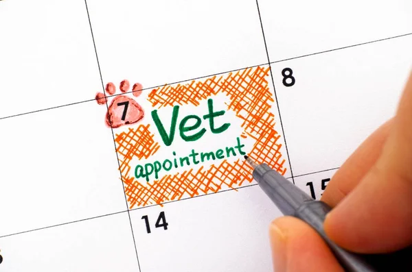 Woman fingers with pen writing reminder Vet Appointment in calen