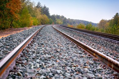 Sonbahar ormanlarında tren rayları. 