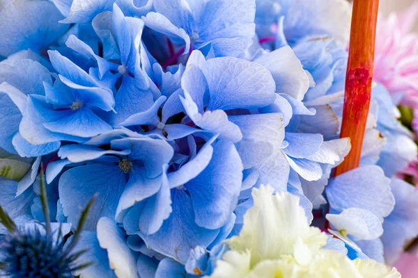 Closeup of blue hydrangea in bouquet.