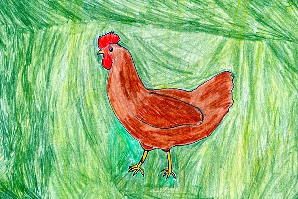 Hen on green background. Pencil hand drawing.