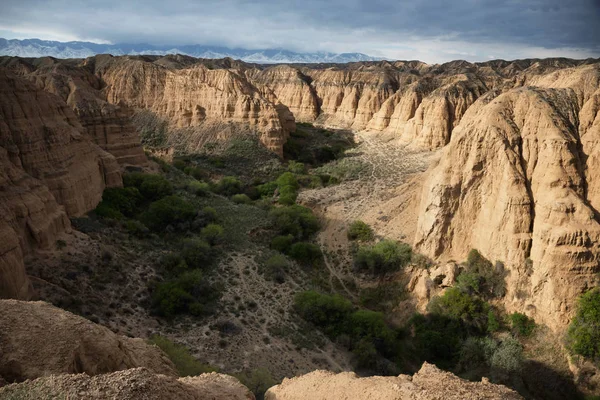 Yellow canyon — Stock Photo, Image