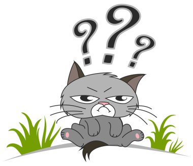 Yukarıdaki soru işaretiyle düşünme kedi