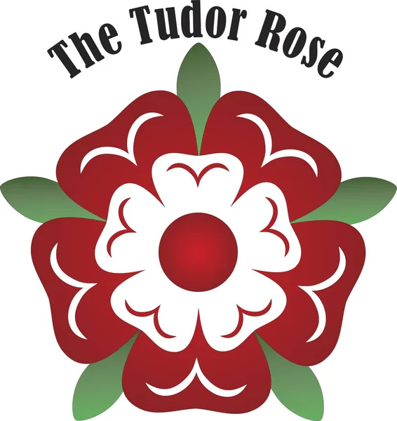 Tudor rose Vector Art Stock Images | Depositphotos