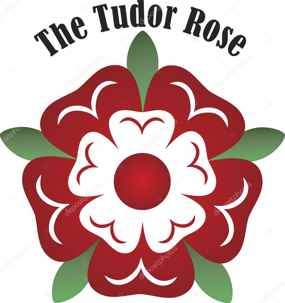 Vector Tudor rose