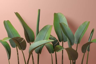 Banana leafs on pink background 3D illustration