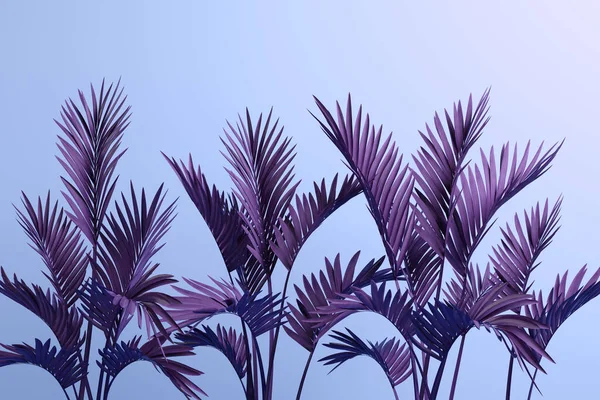 Palmbladeren op blauwe achtergrond 3D illustratie — Stockfoto