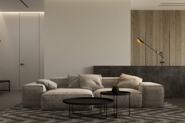 Modern oturma odasının minimalist iç dekorasyonu