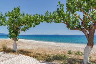 Plaj ve ağaçlar Poros beach, Kefalonia, Ionian Islands