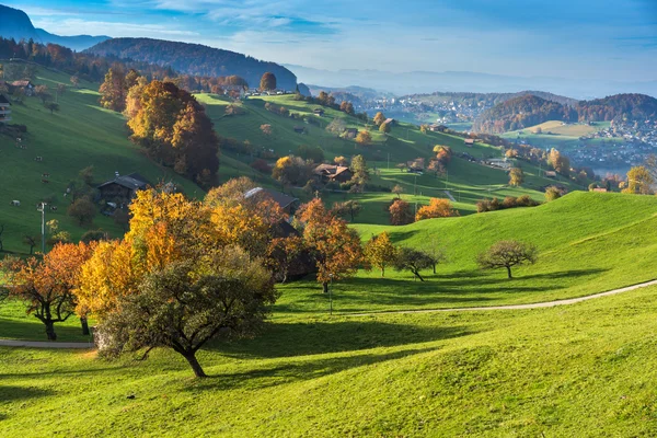 Green meadows and typical Switzerland village near town of Interlaken — Stock Photo, Image