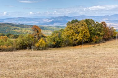 Panorama Cherna Gora dağın, Pernik bölgesi sarı ağaçları ile