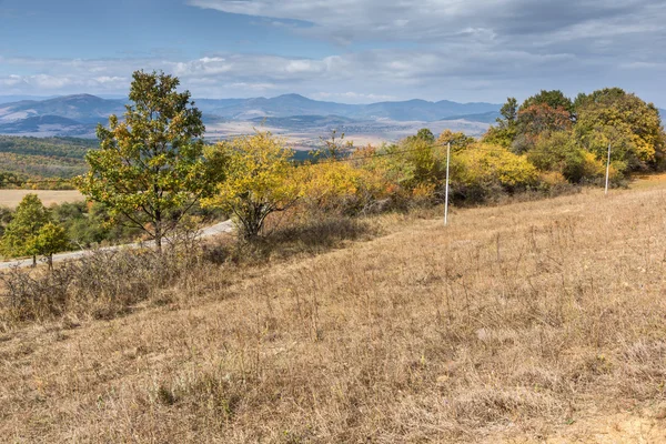 Herfst landschap met gele bomen van Cherna Gora berg, Pernik regio — Stockfoto