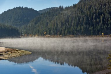 Yeşil Golyam Beglik depo, Pazarcık bölge ormanda yansıman