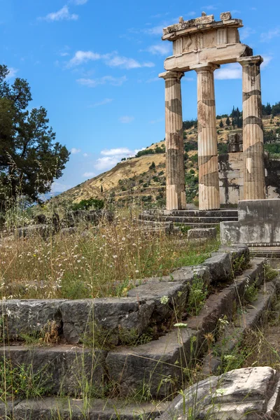 Panoramik Harabeleri ve Athena Pronaia Sanctuary Delphi antik Yunan arkeolojik sitesi