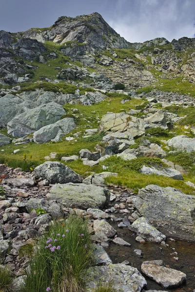 Horská řeka u sedmi rilských jezer, Rilského pohoří — Stock fotografie