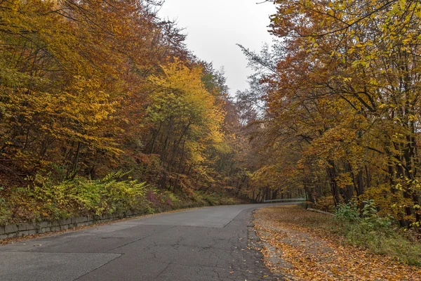 Carretera y árboles de otoño, Montaña Vitosha, Región de la ciudad de Sofía —  Fotos de Stock