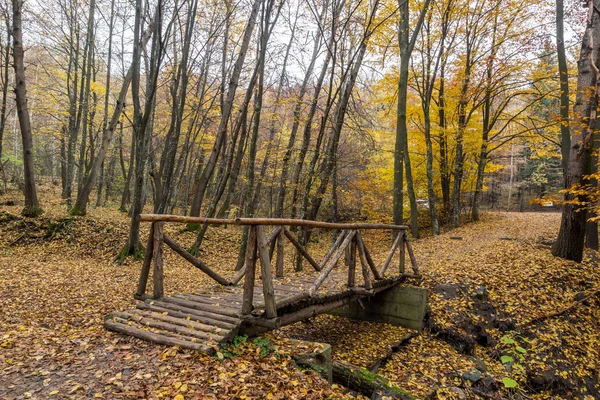 Increíble paisaje con puente de madera y árboles de otoño, montaña Vitosha — Foto de Stock