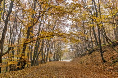 Dağ foodpath, Vitosha Mountain, Sofya şehir bölge inanılmaz sonbahar Panoraması