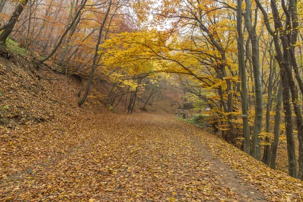 Осенний пейзаж горной пищи, гора Витоша, Софийский район — стоковое фото