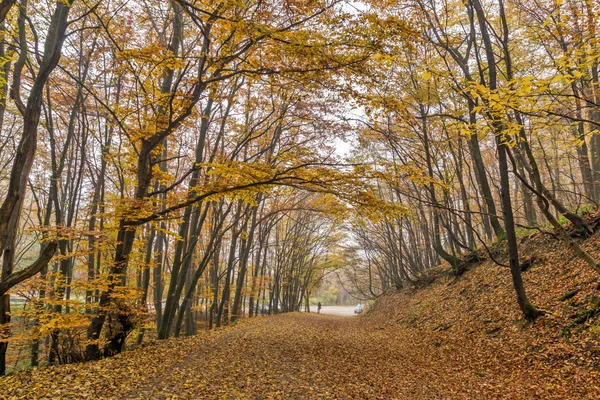 Wspaniałą panoramę jesień z góry foodpath, góry Witosza, Region miasta Sofia — Zdjęcie stockowe