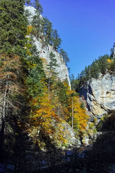 Buynovsko 渓谷、ロドピ山脈の秋景色 — ストック写真