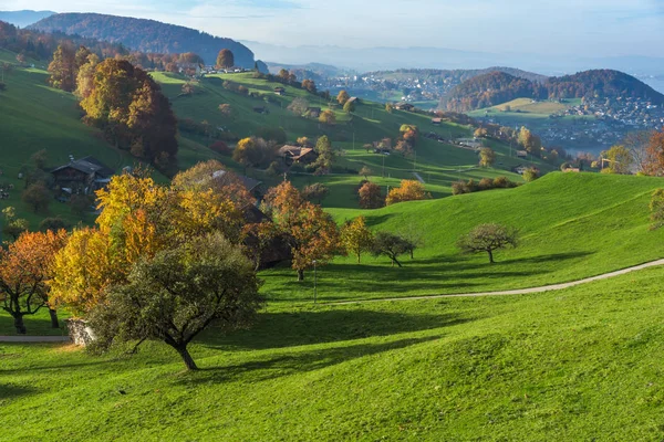 Zielone łąki i typowa Szwajcaria wieś w pobliżu miasta interlaken — Zdjęcie stockowe