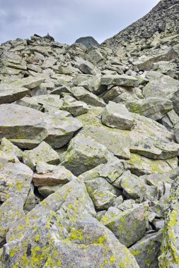 Dzhangal tepe, Pirin Dağı tırmanışı için iz,