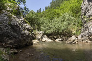 Erma River Gorge çevresinde yeşil orman