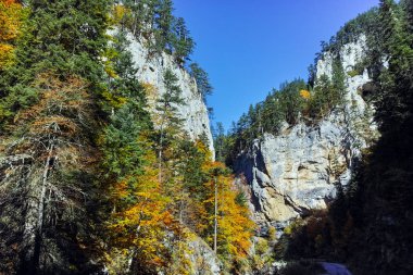 Sonbahar panoramik Buynovsko gorge, Rodop Dağları