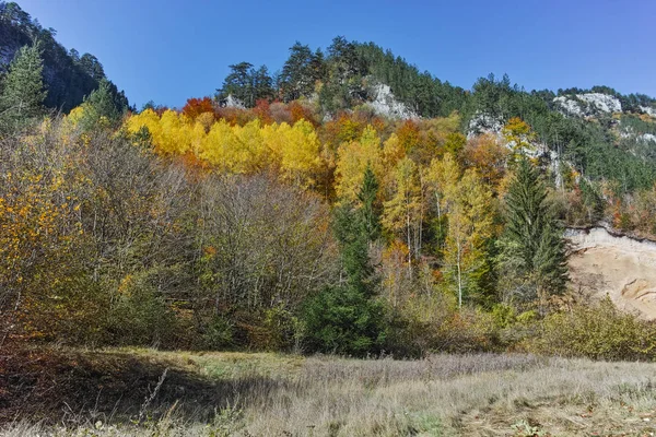 Árboles amarillos y vista otoñal del desfiladero de Buynovsko, montañas Rhodope — Foto de Stock