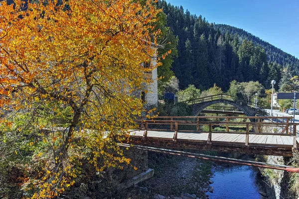 XIX secolo Chiesa dell'Assunzione, fiume e albero autunnale nella città di Shiroka Laka, regione di Smolyan — Foto Stock