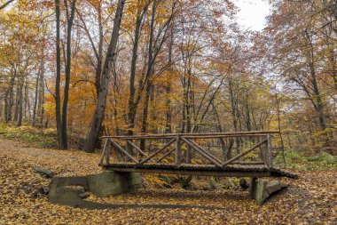 Küçük köprü ve sonbaharda ağaçlar, Vitosha Mountain, Sofya şehir bölge